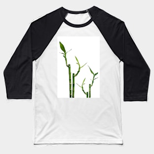 Bamboo Baseball T-Shirt